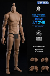 1/6 Scale Durable Body AT042