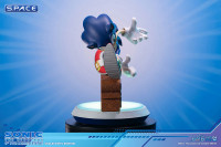 Sonic the Hedgehog PVC Statue - Collectors Edition (Sonic the Hedgehog)