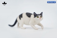 1/6 Scale Felis Catus 3.0 Version A1