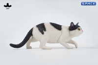 1/6 Scale Felis Catus 3.0 Version A1