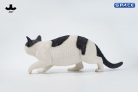 1/6 Scale Felis Catus 3.0 Version A1