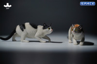 1/6 Scale Felis Catus 3.0 Version A1