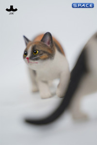 1/6 Scale Felis Catus 3.0 Version A2