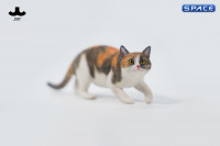 1/6 Scale Felis Catus 3.0 Version A2