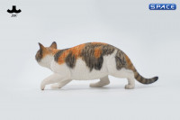 1/6 Scale Felis Catus 3.0 Version A2