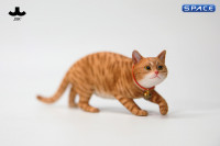 1/6 Scale Felis Catus 3.0 Version A3