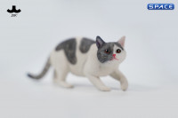 1/6 Scale Felis Catus 3.0 Version A4