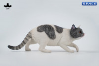 1/6 Scale Felis Catus 3.0 Version A4