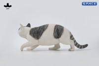 1/6 Scale Felis Catus 3.0 Version A4