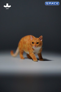 1/6 Scale Felis Catus 3.0 Version B1