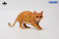 1/6 Scale Felis Catus 3.0 Version B1