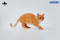 1/6 Scale Felis Catus 3.0 Version B1