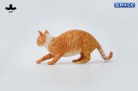 1/6 Scale Felis Catus 3.0 Version B1