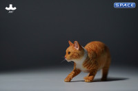 1/6 Scale Felis Catus 3.0 Version B1