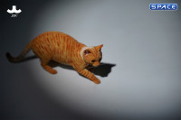 1/6 Scale Felis Catus 3.0 Version B1