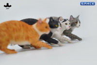 1/6 Scale Felis Catus 3.0 Version B1