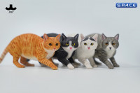 1/6 Scale Felis Catus 3.0 Version B1