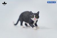 1/6 Scale Felis Catus 3.0 Version B2