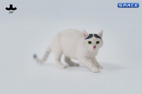 1/6 Scale Felis Catus 3.0 Version B3