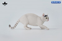 1/6 Scale Felis Catus 3.0 Version B3