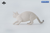 1/6 Scale Felis Catus 3.0 Version B3