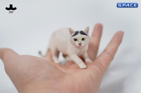 1/6 Scale Felis Catus 3.0 Version B3