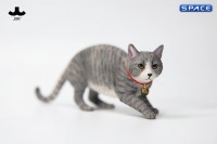 1/6 Scale Felis Catus 3.0 Version B4