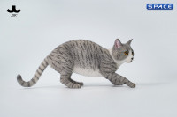 1/6 Scale Felis Catus 3.0 Version B4