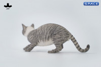 1/6 Scale Felis Catus 3.0 Version B4