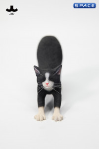 1/6 Scale stretching Cat Version A