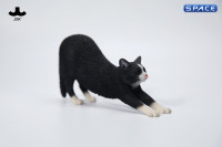 1/6 Scale stretching Cat Version A