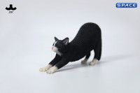 1/6 Scale stretching Cat Version A