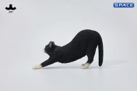 1/6 Scale stretching Cat Version A