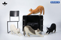 1/6 Scale stretching Cat Version A