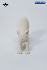 1/6 Scale stretching Cat Version B