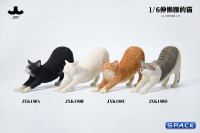 1/6 Scale stretching Cat Version B