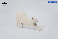 1/6 Scale stretching Cat Version B