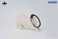 1/6 Scale stretching Cat Version B