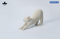 1/6 Scale stretching Cat Version B