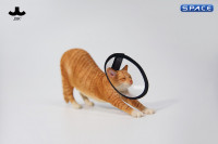 1/6 Scale stretching Cat Version C