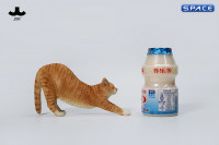 1/6 Scale stretching Cat Version C