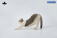 1/6 Scale stretching Cat Version D