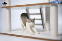 1/6 Scale stretching Cat Version D