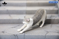 1/6 Scale stretching Cat Version D