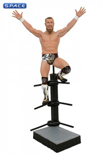 Bryan Danielson Gallery PVC Statue (AEW)