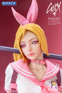 1/6 Scale Candy