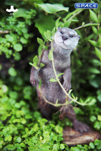 1/6 Scale Otter (grey)