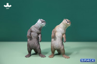 1/6 Scale Otter (grey)