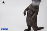 1/6 Scale Otter (grey)