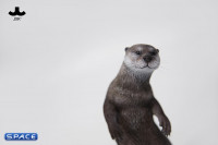 1/6 Scale Otter (grey)